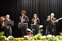 DSC02833: Jazzico DSC02833: Jazzico